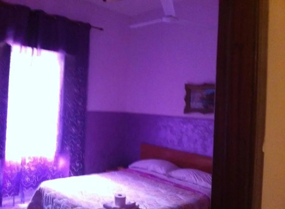Hotel Viola  Naples